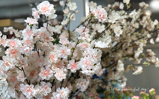 春と言えば桜！室内でできちゃうエア花見！/デコプラス