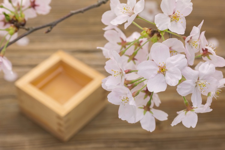 春と言えば桜！室内でできちゃうエア花見！/デコプラス