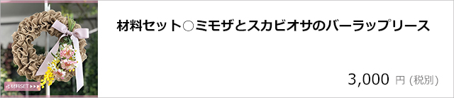 3月8日はミモザの日/デコプラスオンラインショップ