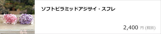 ソフトピラミッドアジサイ・スフレ/デコプラスオンラインショップ