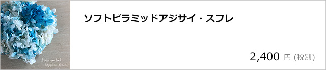 ソフトピラミッドアジサイ・スフレ/デコプラスオンラインショップ