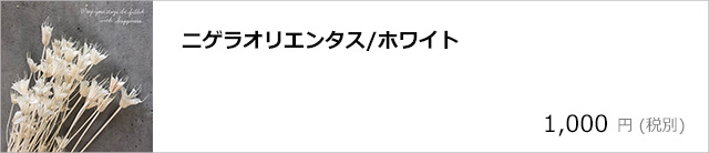 ニゲラオリエンタス・ホワイト/デコプラスオンラインショップ