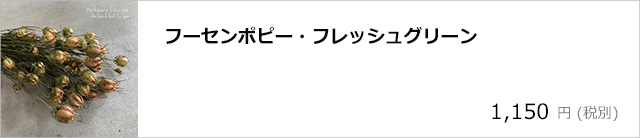 フーセンポピー・フレッシュグリーン/デコプラスオンラインショップ